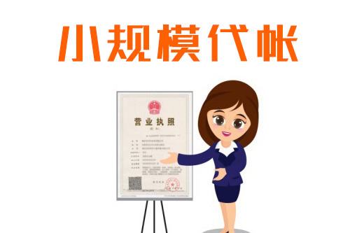 小公司如何記賬，哪些可以采??？