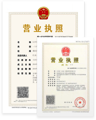 母子公司營(yíng)業(yè)執(zhí)照（正、副本）